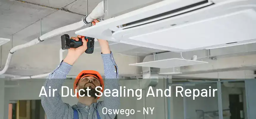  Air Duct Sealing And Repair Oswego - NY