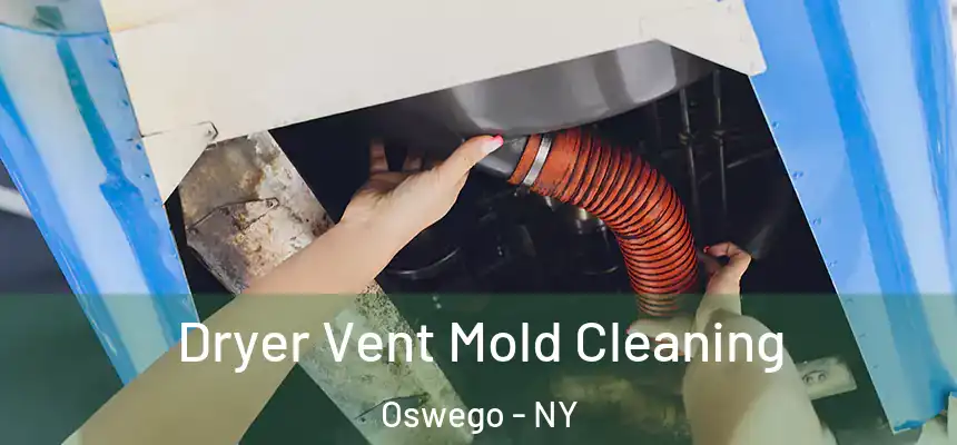  Dryer Vent Mold Cleaning Oswego - NY