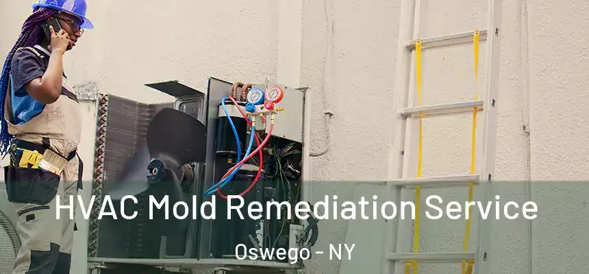  HVAC Mold Remediation Service Oswego - NY