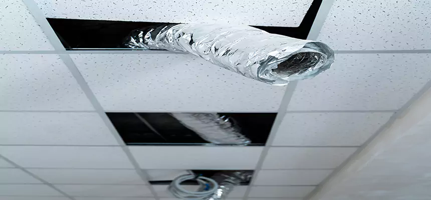 Affordable HVAC Sanitizing After Pest Removal in Oswego