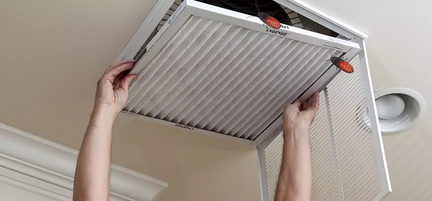 Our Insect Removal from Air Ducts Services in Oswego, NY