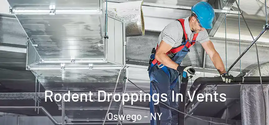  Rodent Droppings In Vents Oswego - NY