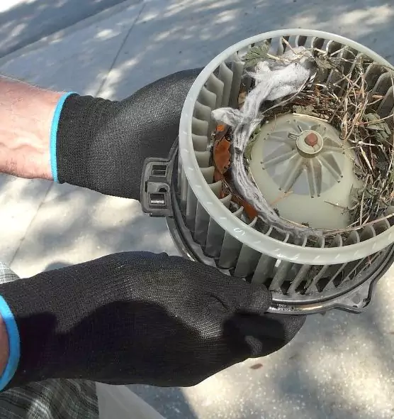 About Air Duct Mice Removal in Oswego, NY