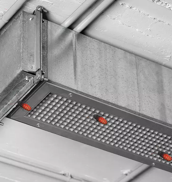 Affordable Insect Removal from Air Ducts in Oswego, NY