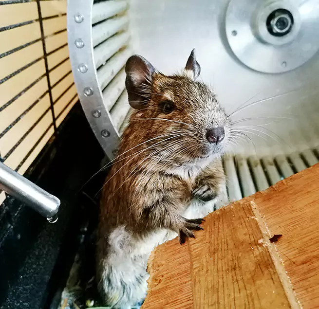 Why Homeowners & Businesses Trust Us Oswego, NY